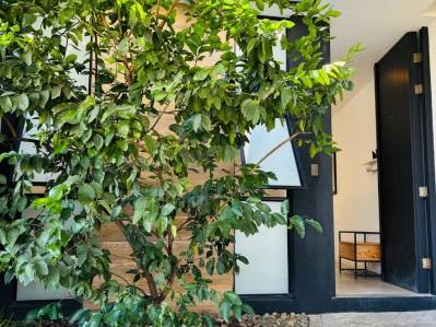 Beautiful one-level house with spectacular spaces for sale in Santa Ana