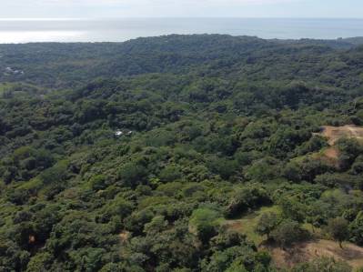 Lote Premium Listo para Construir: 9,808 m² con Vista al Pacífico