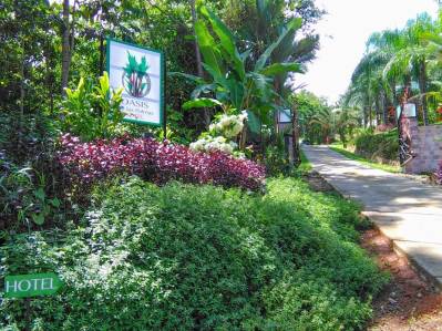 3 Cabins, A restaurant, A 3 Bed House And Multiple Plantels In The Heart Of Ojochal