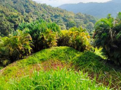 Lot for Sale in Lajas: Spectacular Ocean Views and Available Amenities