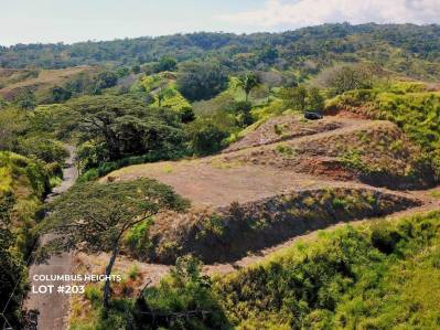 Columbus Heights Lot # 203