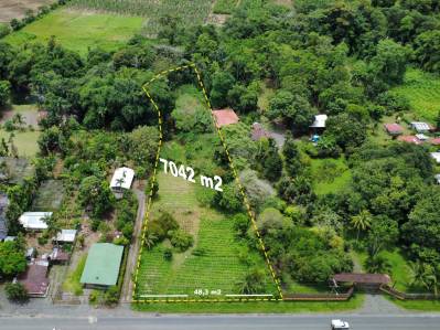 Land for Sale in Roxana, Pococí