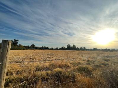 terrenos en venta
