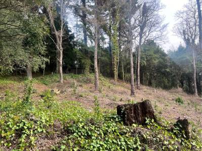 terrenos en venta