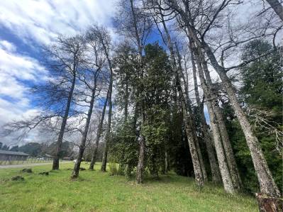 parcela en venta