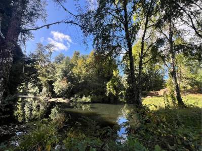 parcela en venta