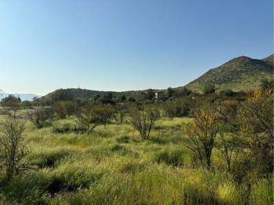 terrenos en venta