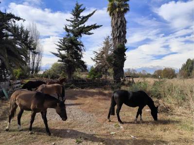 parcela en venta