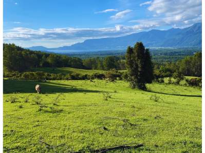 agricola en venta