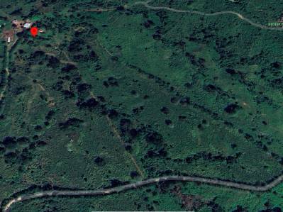 finca-produccion en venta