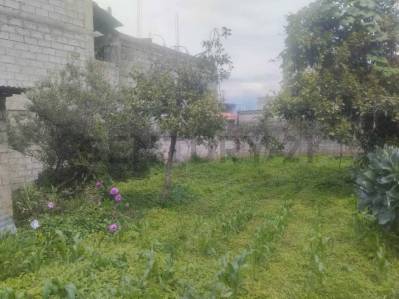 terreno en venta