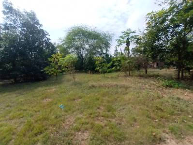 finca en venta