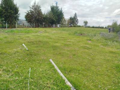 terreno en venta