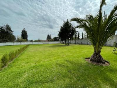 terreno en venta