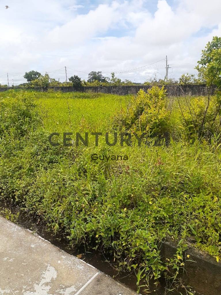 Land for sale, Ranch Blankenburg , Demerara, Guyana CENTURY 21 Global