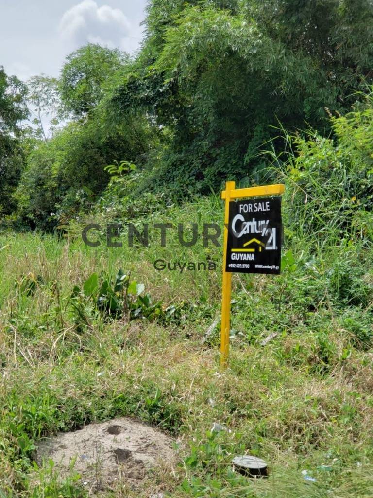Land for sale 0000, Guyana CENTURY 21 Global