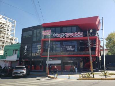 local en renta