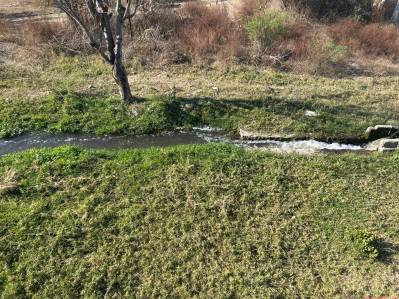 terreno en venta