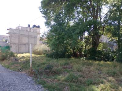 terreno en renta