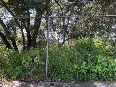 terreno en venta