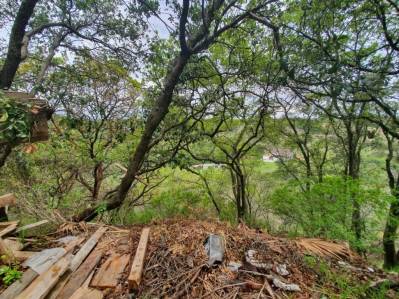 terreno en venta