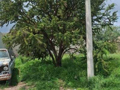 terreno en venta