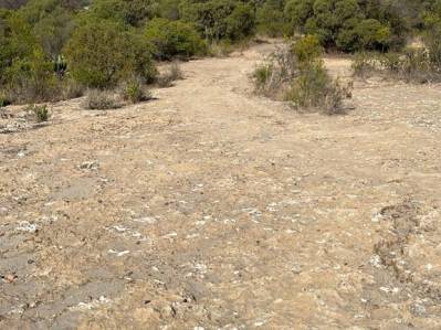terreno en venta