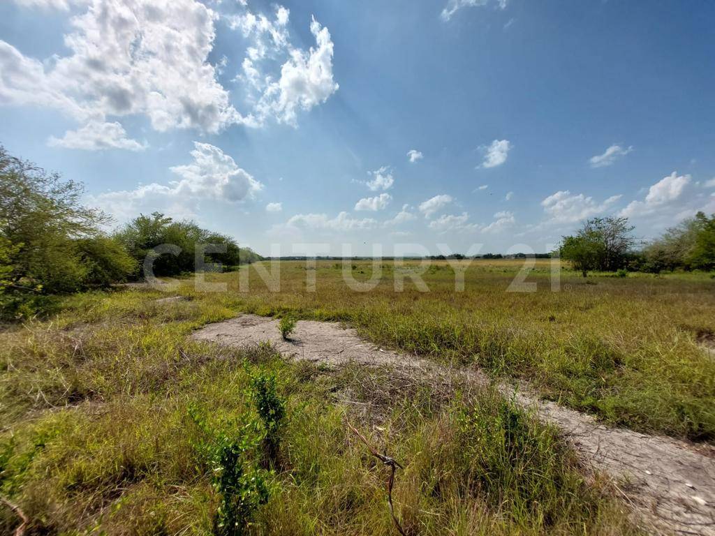 Venta Rancho Jardín - González