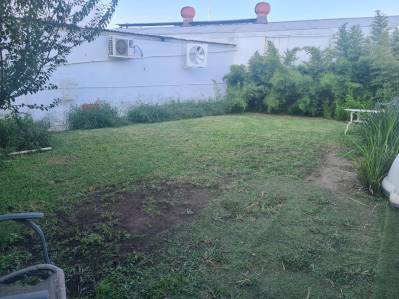 terreno en renta