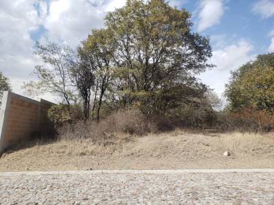 terreno en venta