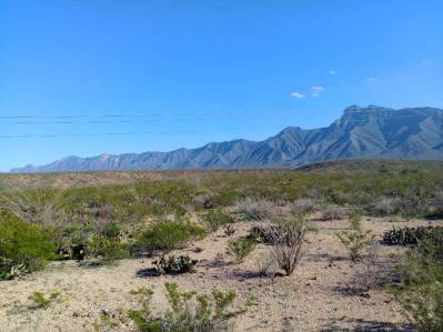 land en sale