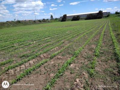 terreno en venta