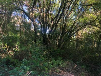 propiedad-agricola en venta