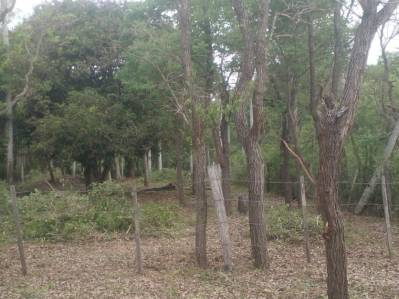 terreno en venta