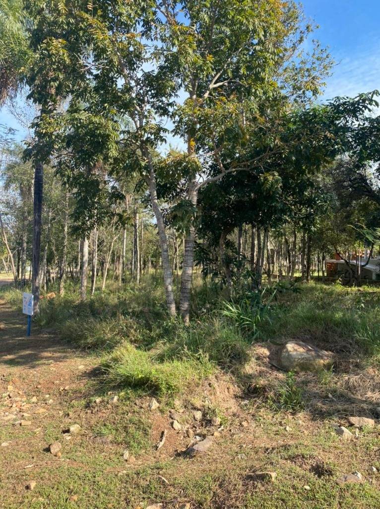 Land for sale, Ranch SUNSET HILLS LOTE 81, San Bernardino, Cordillera