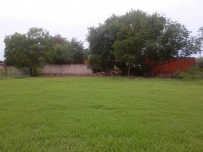 terreno en venta