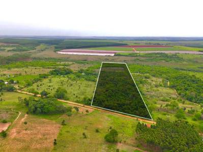 propiedad-agricola en venta