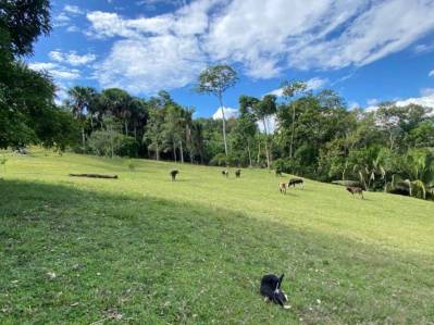 terreno-residencial en venta