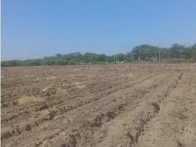 terreno-agricola en venta