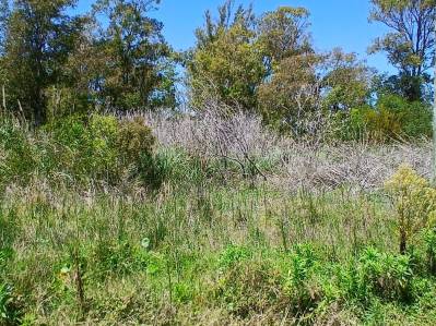 terreno en venta
