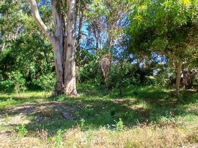 terreno en venta