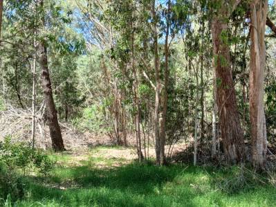 terreno en venta