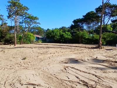terreno en venta