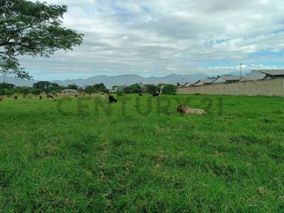 En venta - José Rafael Revenga, El Consejo